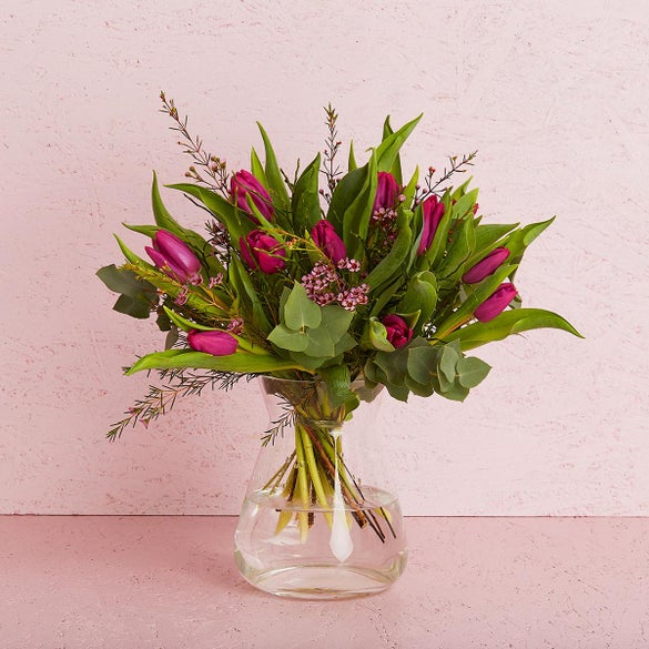 De violette tulipaner